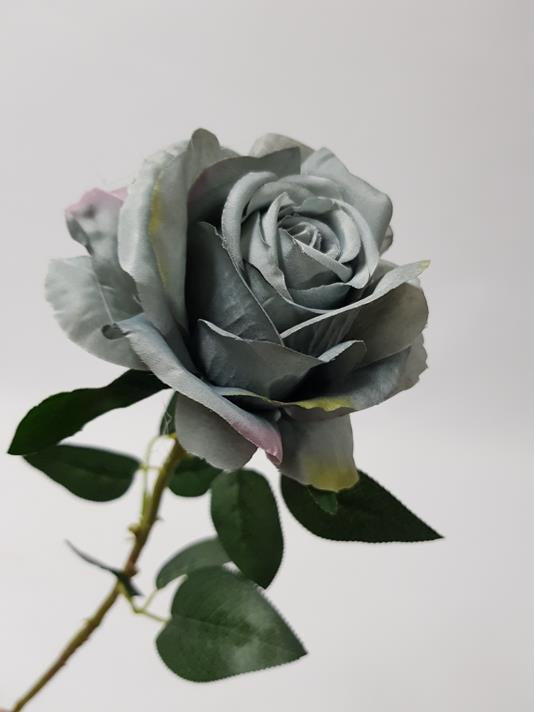 Dark Grey Rose Flower Seeds for Planting – Heirloom, Non-GMO Wildflower Mix, High Germination Seeds