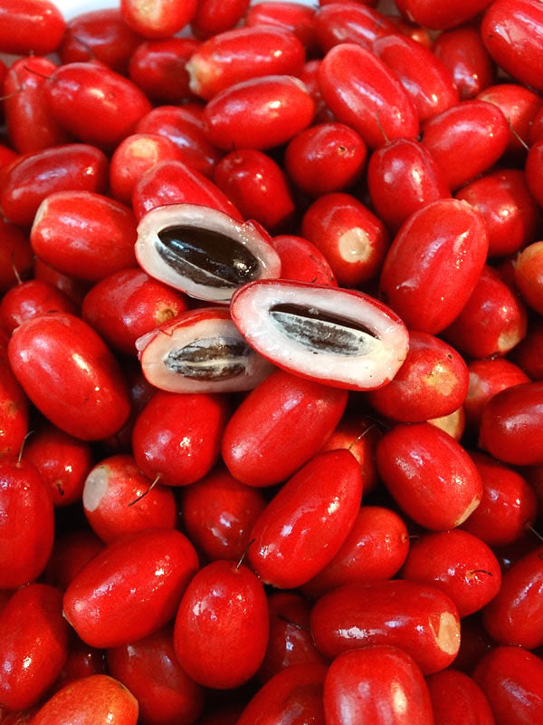 Milagrosa Fruit Seeds for Planting – Heirloom, Non-GMO, Delicious Exotic Garden Harvest Seeds