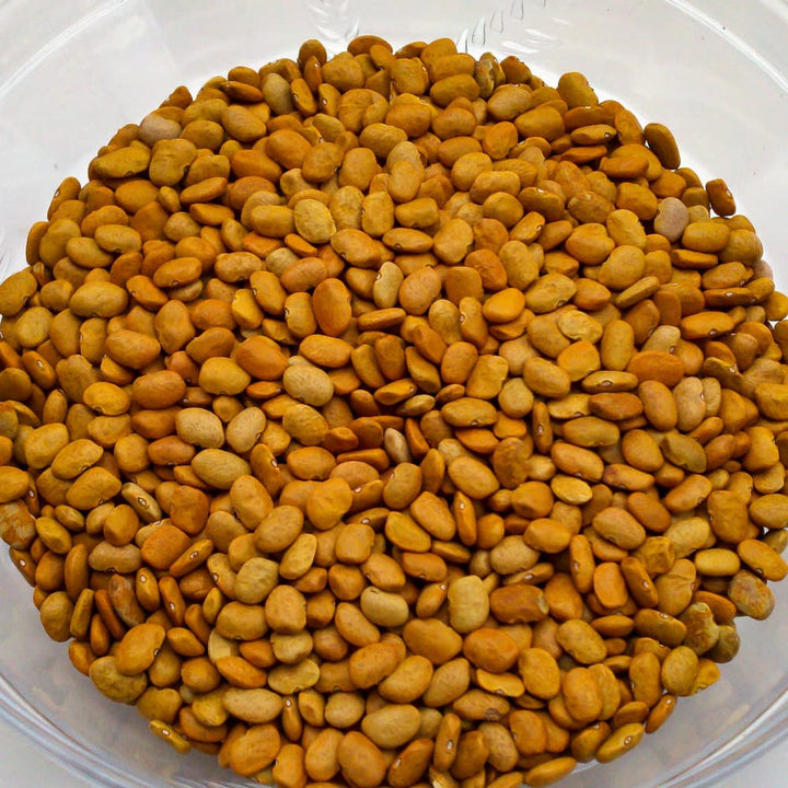 Brown Tepary Bean Seeds for Planting – Heirloom & Non-GMO Seeds for Drought-Tolerant Protein-Rich Harvests