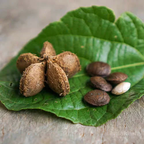Fruit Seeds,Garden seeds, Seeds For Planting,Plant Seeds