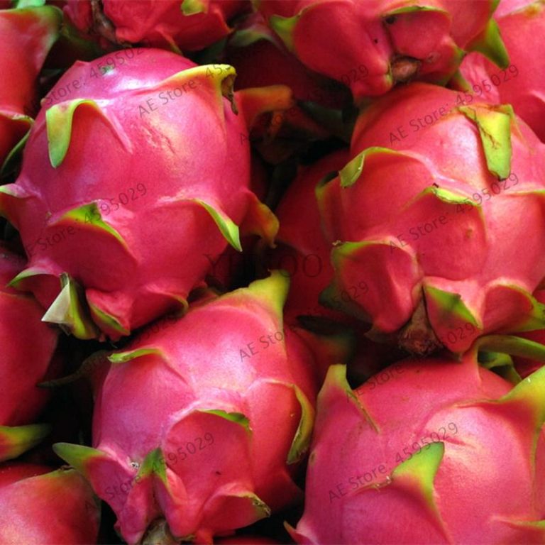 Red Pitaya fruit seeds for planting - Heirloom & Non-GMO garden seeds, sweet juicy dragon fruit variety