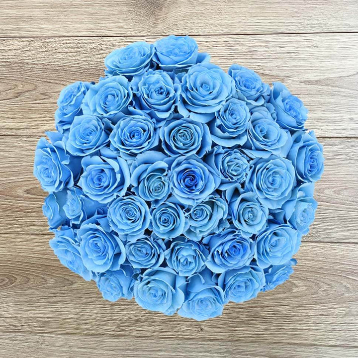Light Blue Rose Flower Seeds for Planting – Heirloom, Non-GMO, Hardy High Germination Variety