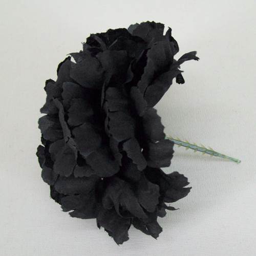 Carnations Black Flower Seeds for Planting – Heirloom Non-GMO, High Germination Organic Garden Seeds
