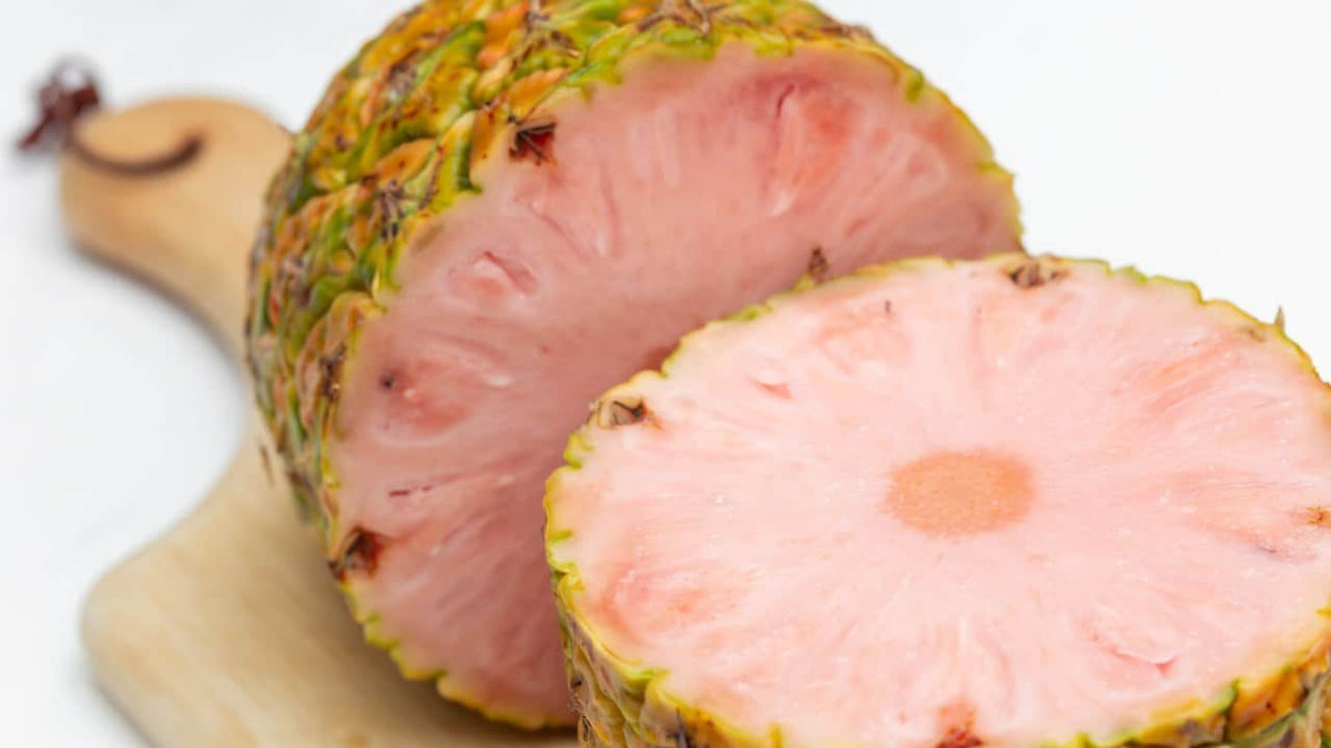 Pink Pineapple Fruit Seeds for Planting – Heirloom, Non-GMO Sweet Vibrant Tropical Garden Seeds