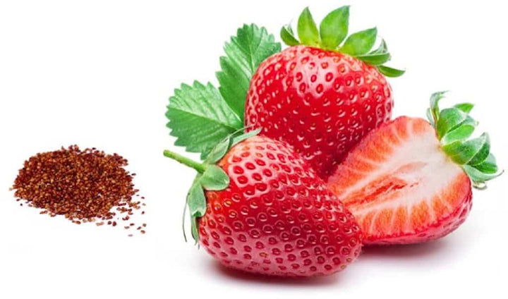 Hokowase Strawberry Fruit Seeds – Heirloom, Non-GMO Seeds for Premium Garden Berry Yield Planting