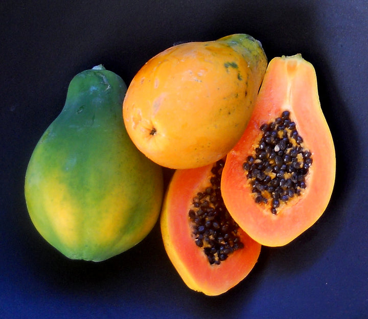 Kaek Dahm Papaya Fruit seeds – Heirloom, Non-GMO seeds for Planting Compact Sweet Garden Trees