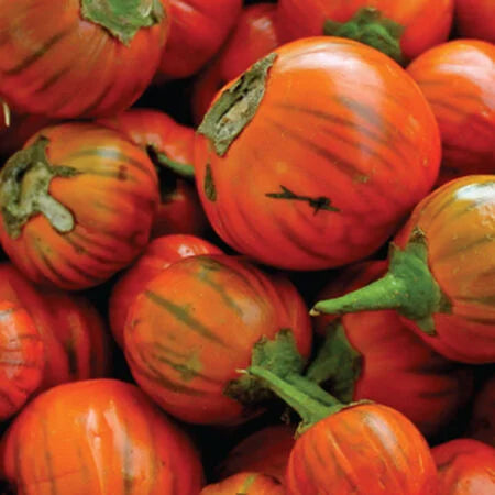 Tomato Seeds for Planting Dark Orange – Heirloom, Non-GMO, Organic Garden Seeds – Rich Flavor, High Germination