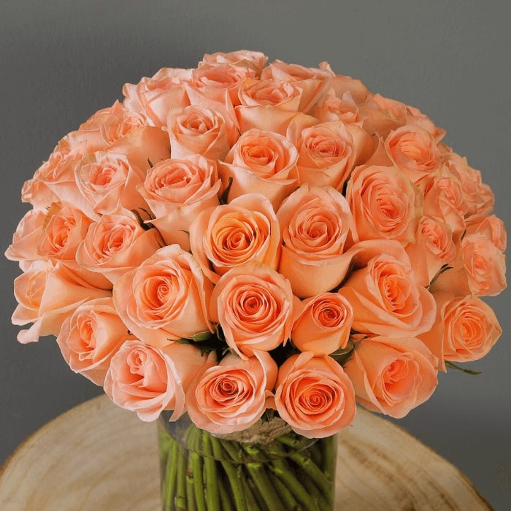 Peach Rose Flower seeds for Planting – Drought Tolerant, Heirloom & GMO Free Seeds for Home Garden
