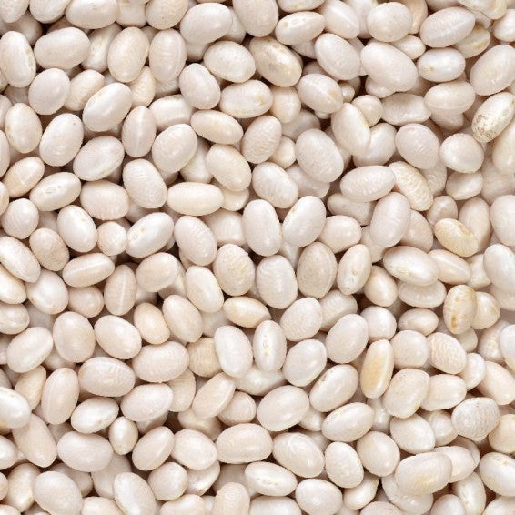 White Porcelain Garlic Seeds for Planting – Heirloom & Non-GMO Vegetable Seeds for Bold, Aromatic Bulbs