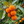 Fruit Seeds,Garden seeds, Seeds For Planting,Plant Seeds