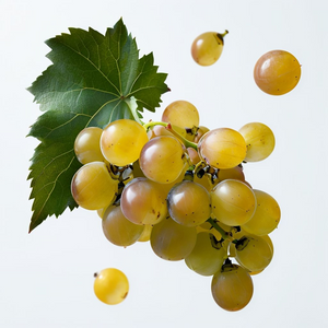Fruit Seeds,Garden seeds, Seeds For Planting,Plant Seeds