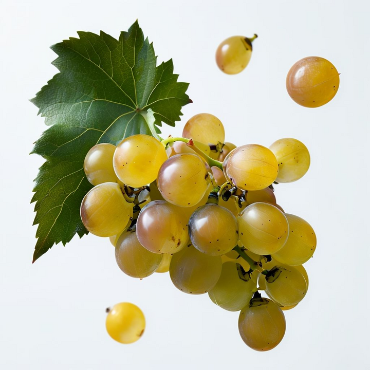 Fruit Seeds,Garden seeds, Seeds For Planting,Plant Seeds