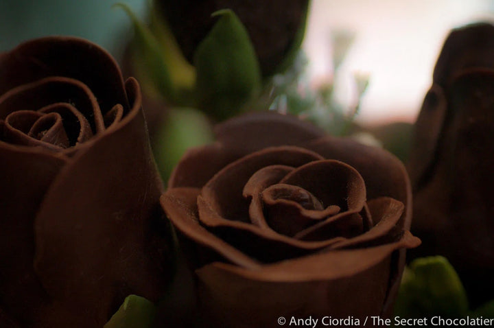 Chocolate Rose Flower Seeds for Planting – Heirloom, Non-GMO, Fragrant Blossoms, High Germination