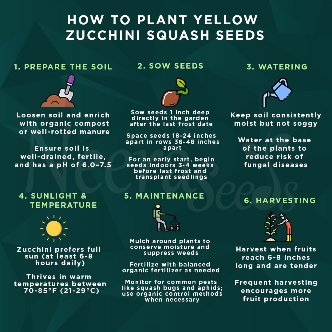 Yellow Zucchini Squash Vegetable Seeds for Planting – Heirloom & Non-GMO Garden Seeds