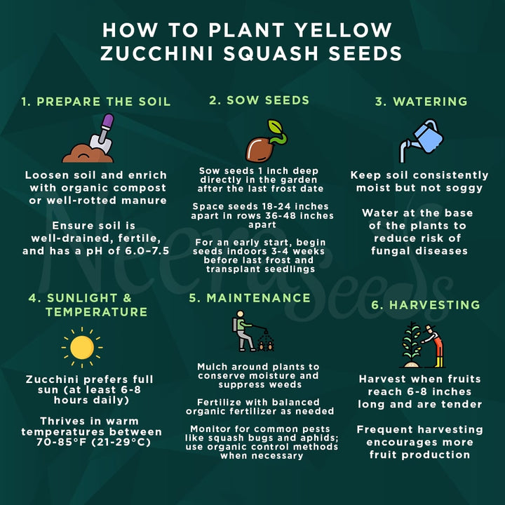 Yellow Zucchini Squash Vegetable Seeds for Planting – Heirloom & Non-GMO Garden Seeds