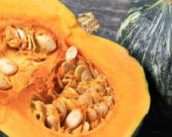 Jamaican Pumpkin Seeds for Planting – Heirloom Non-GMO High-Yield Organic Garden Seeds