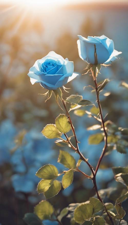 Sky Blue Holland Rose Flower Seeds for Planting – Premium Heirloom, Non-GMO, High Germination