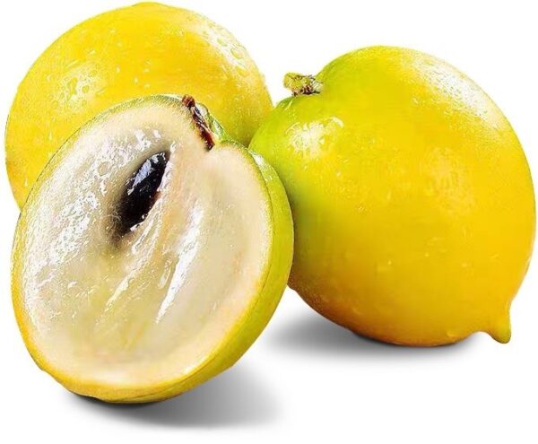 Abiu Fruit Seeds – Heirloom, Non-GMO Seeds for Sweet Tropical Garden Tree Planting