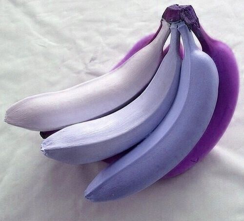 Violet Banana Fruit seeds – Heirloom, Non-GMO seeds for Planting Unique Garden Bananas