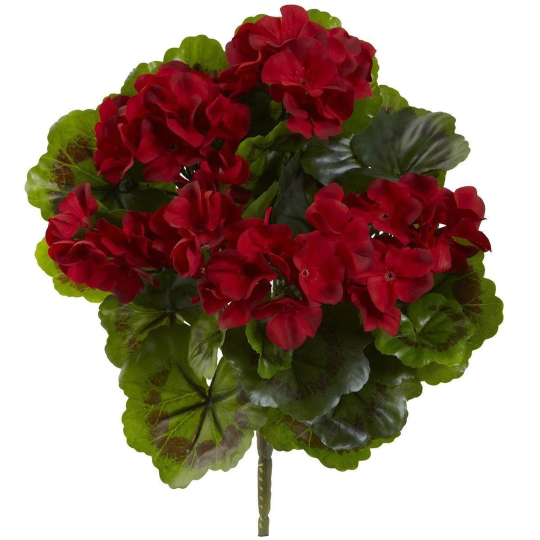 Maroon Red White Geranium Flower Seeds for Planting – Heirloom, Non-GMO, High Germination, Organic Garden