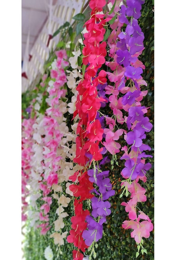 Mixed Wisteria Flower Seeds for Planting – Heirloom, Non-GMO, Perfect for Borders & Home Garden