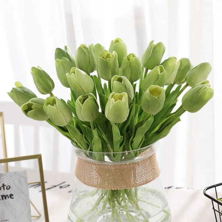Green Tulip Flower Seeds – Cottage Garden Essential, Heirloom &amp; Non-GMO Seeds for Planting Home Garden