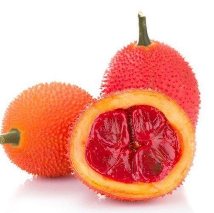 Gac fruit seeds for planting – Heirloom & Non-GMO garden seeds, vibrant exotic superfruit variety
