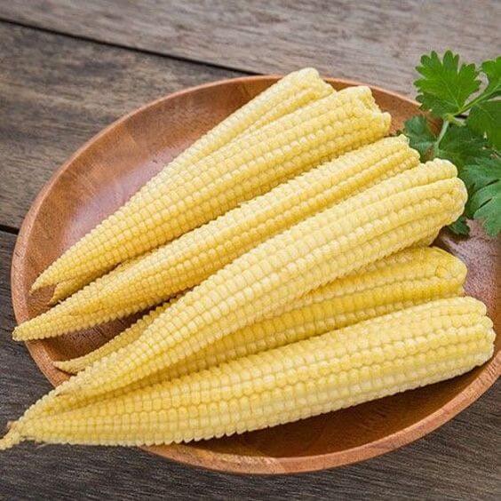 Baby Corn Seeds for Planting – High-Yield Hybrid Sweet Corn Seeds, Heirloom & Non-GMO Garden Vegetable Seeds