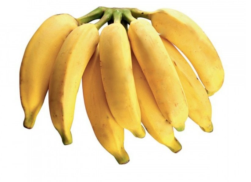 Fruit Seeds,Garden seeds, Seeds For Planting,Plant Seeds