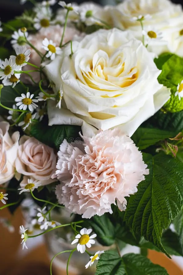 White Pretty Pastel Flower Seeds for Planting – Heirloom, Non-GMO, Sun Loving, High Germination