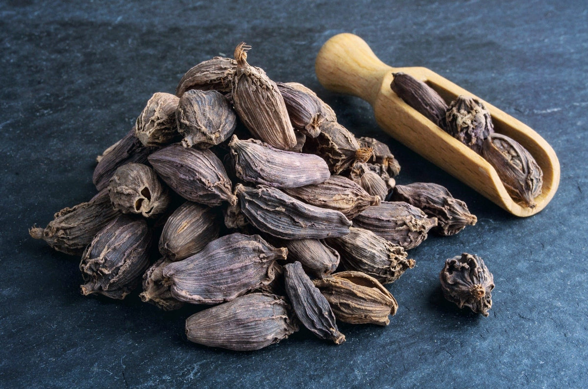 Black Cardamom Herb Seeds for Planting – Heirloom, Non-GMO, Organic Garden Seeds with High Germination