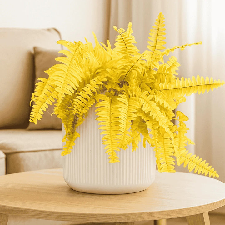 Yellow Fern for Planting – Wildflower Mix, Heirloom Non-GMO Seeds for High Germination Organic Garden