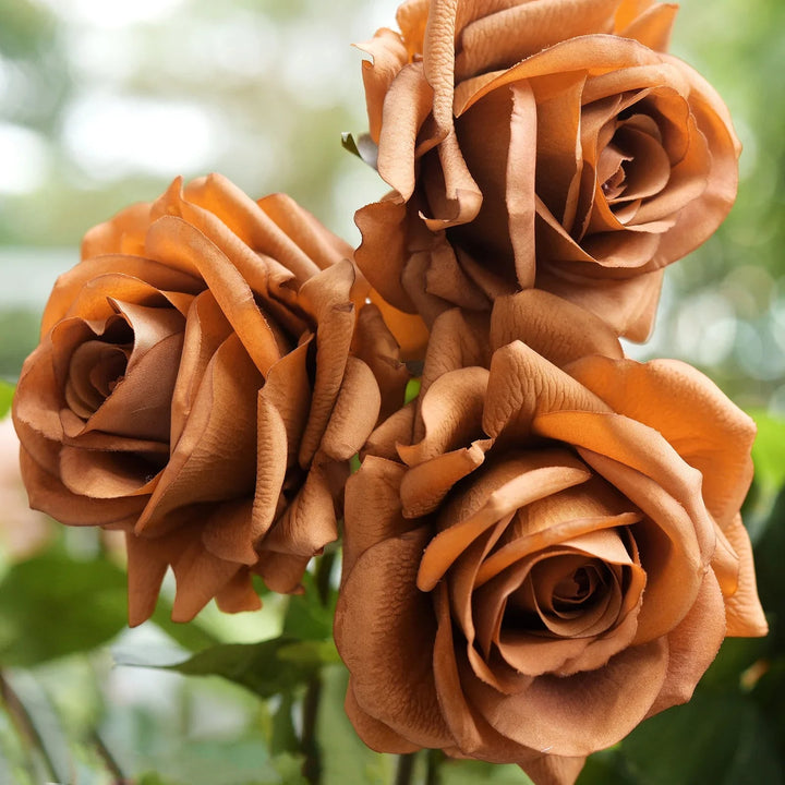 Brown Rose Flower Seeds – Heirloom, Non-GMO Seeds for Planting, Compact Growth, Organic Garden Seeds