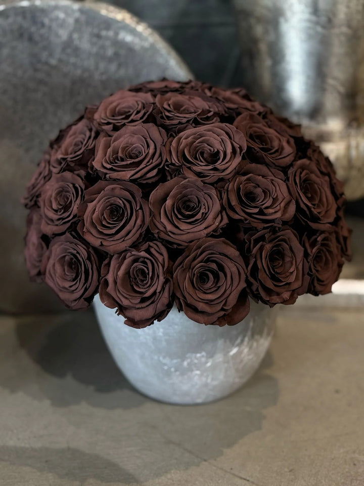 Chocolate Rose Flower Seeds for Planting – Heirloom, Non-GMO, Fragrant Blossoms, High Germination