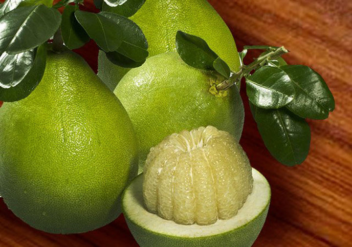 Nam Roi Vietnamese White Pomelo seeds for planting - Heirloom & Non-GMO large sweet citrus fruit seeds