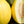 Yellow Canary Melon fruit seeds for planting – Heirloom & Non-GMO garden seeds for sweet refreshing harvest