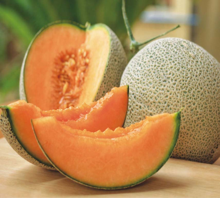 Light Orange Cantaloupe Melon Fruit Seeds – Heirloom, Non-GMO Seeds for Early Fruit Harvesting