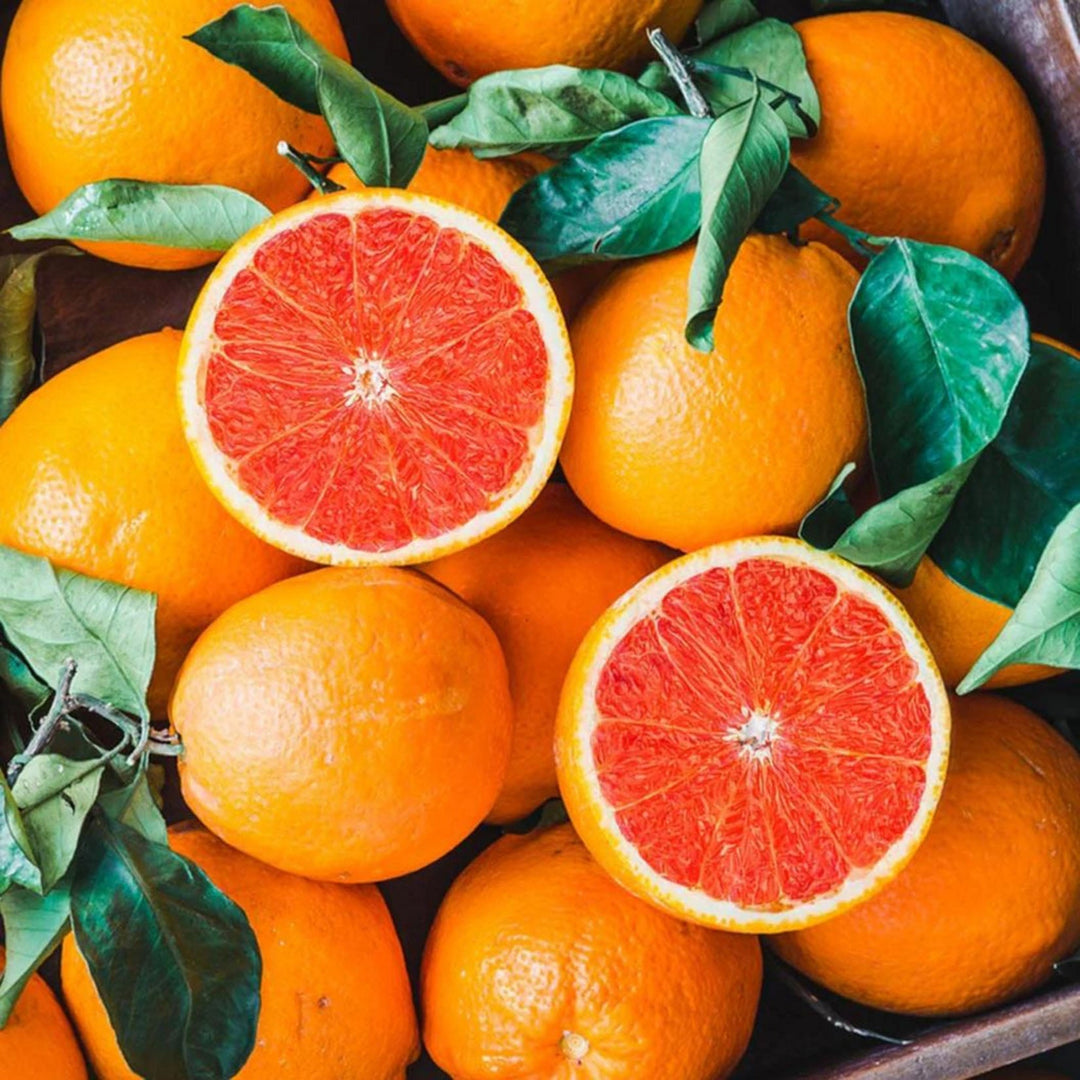 Fruit Seeds,Garden seeds, Seeds For Planting,Plant Seeds