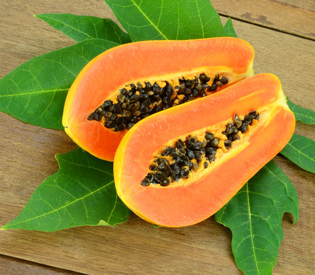Tainung Mexican Papaya Fruit Seeds for Planting – Heirloom, Non-GMO, Tropical Sweet Garden Seeds