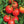Better Boy Tomato Seeds – Heirloom Non-GMO High-Yield Juicy Vegetable Seeds for Planting, Organic Garden Seeds