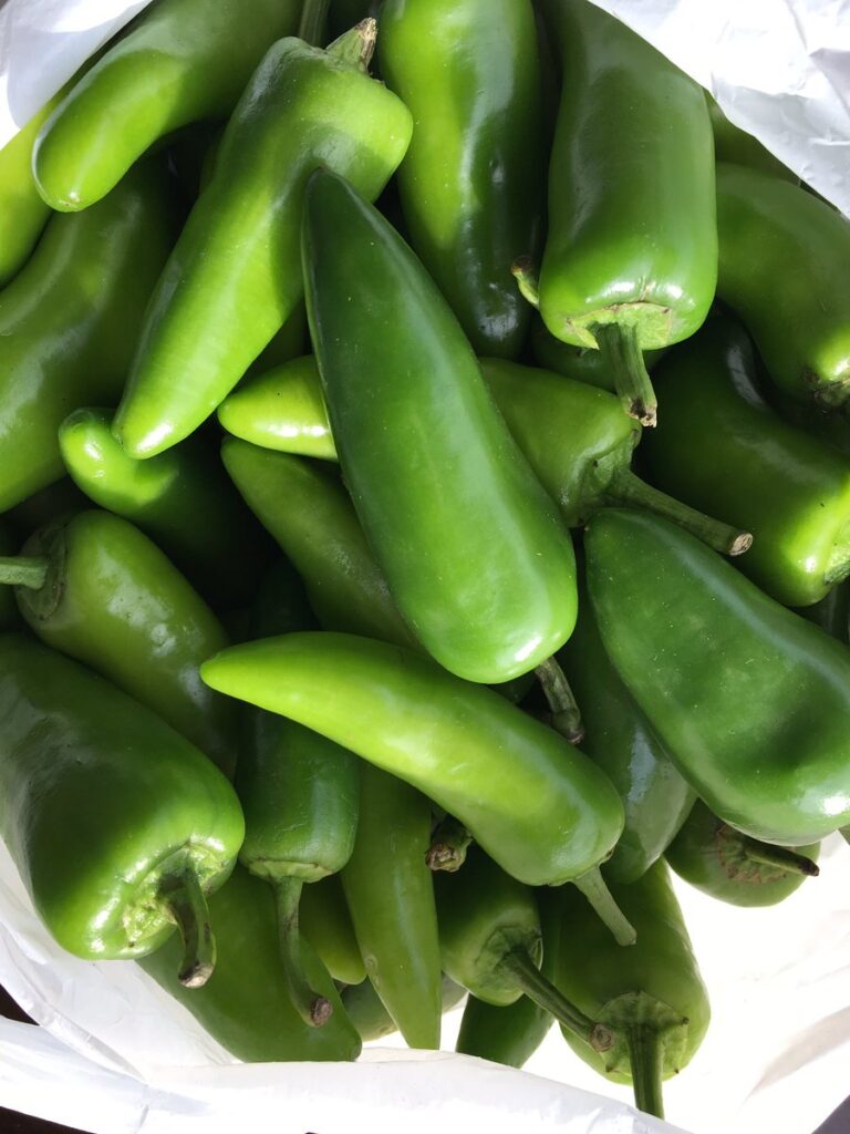 Bullet Green Chili Vegetable Seeds – Heirloom, Non-GMO Seeds for Planting Hot Pepper Gardens