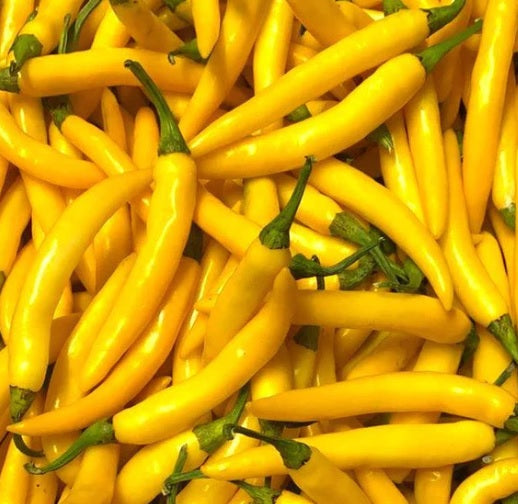 Yellow Chilli Seeds for Planting – Heirloom Non-GMO Spicy Pepper Vegetable Seeds with High Germination for Organic Gardens