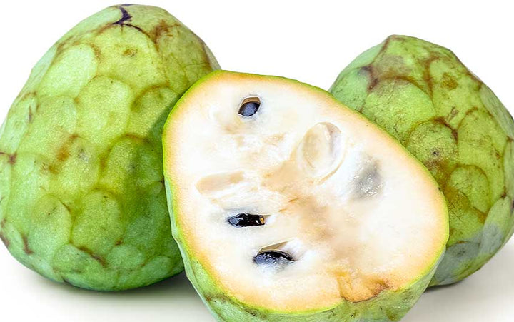 Chirimoya Roja fruit seeds for planting – Heirloom & Non-GMO garden seeds, sweet tropical fruit for home gardens