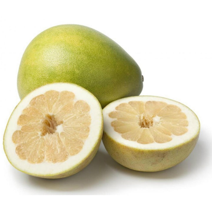 Green Pomelo seeds for planting - Heirloom & Non-GMO large citrus fruit garden seeds