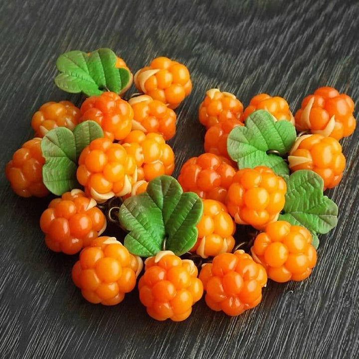 Cloudberry Rubus Fruit Seeds – Heirloom, Non-GMO Seeds for Orange-Red Gourmet Garden Berry Planting