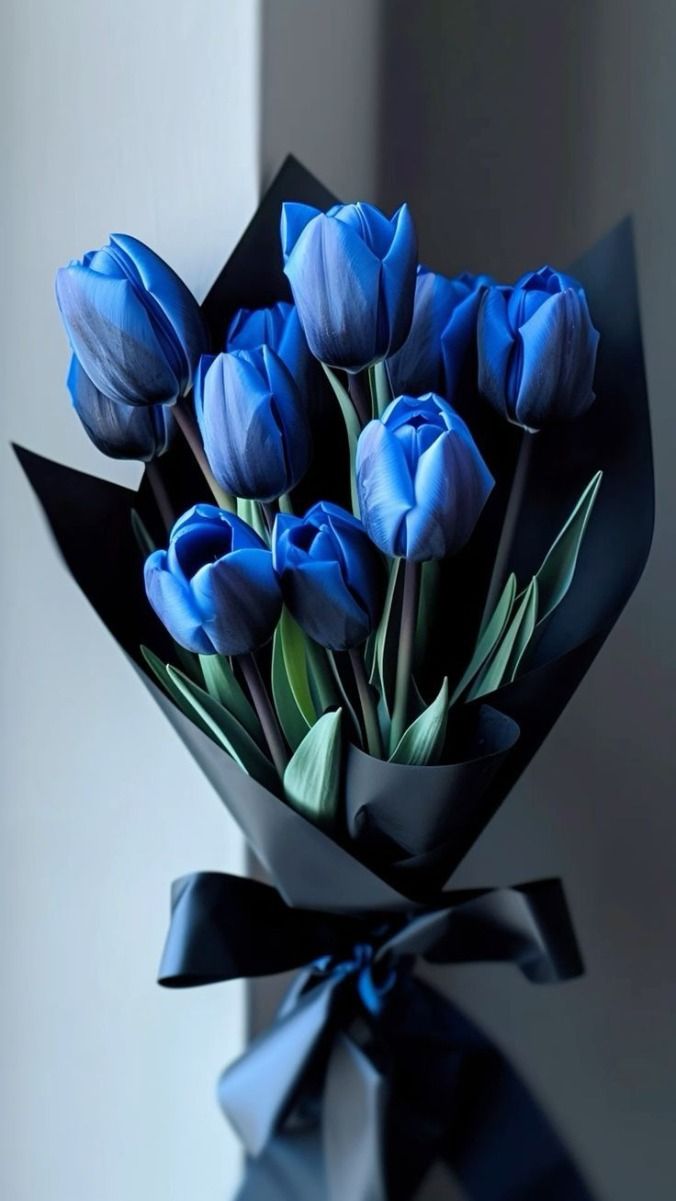Blue Tulip Flower Seeds for Planting – Heirloom Non-GMO Organic Garden Seeds with High Germination