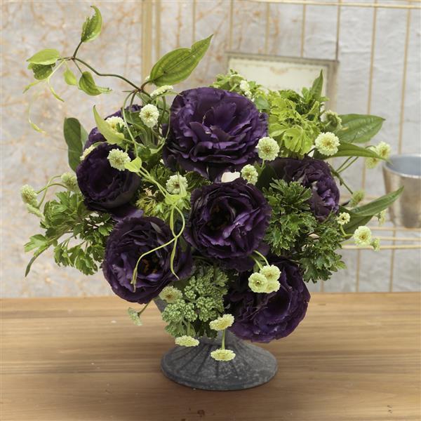 Lisianthus Rosanne Black Pearl Flower seeds for Planting - Sun Loving, Heirloom & GMO Free Seeds for Home Garden | High Germination Organic Garden Seeds