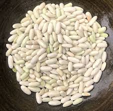 Hungarian Seeds for Planting – Heirloom Non-GMO High Germination Seeds for Organic Vegetable Gardens