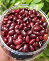 Scarlet Bean Seeds for Planting – Heirloom, Non-GMO, High Germination Organic Garden Seeds with Edible Pods & Vibrant Flowers