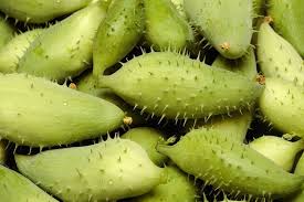 Cyclanthera Seeds for Planting – Heirloom Non-GMO High Germination Seeds for Unique Organic Gardens